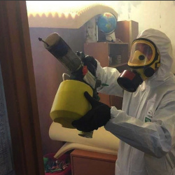 Уничтожение клопов в квартире. Сольцы